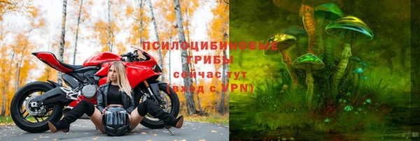 спайс Сатка