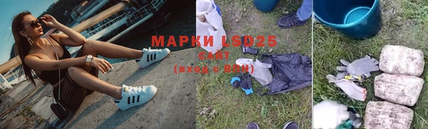 индика Саяногорск