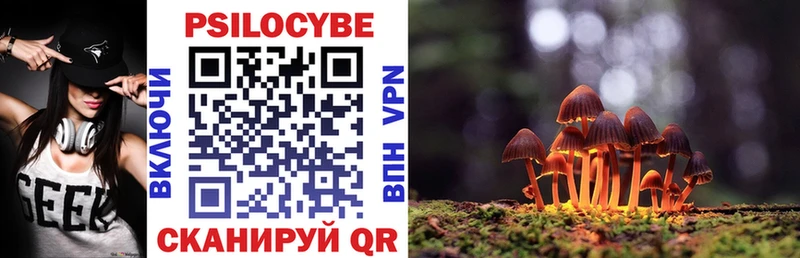 Псилоцибиновые грибы Cubensis  Купить закладки  Поронайск 